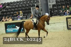 24BUCK_02245 thumbnail