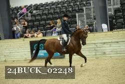 24BUCK_02248 thumbnail