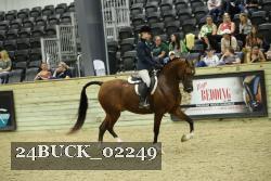 24BUCK_02249 thumbnail