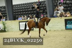 24BUCK_02250 thumbnail