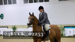24BUCK_02253 thumbnail