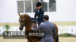 24BUCK_02259 thumbnail