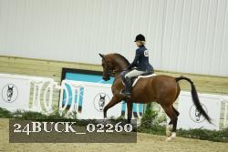 24BUCK_02260 thumbnail