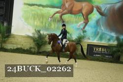 24BUCK_02262 thumbnail