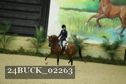 24BUCK_02263 thumbnail