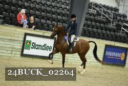 24BUCK_02264 thumbnail