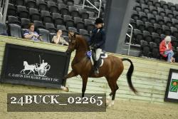24BUCK_02265 thumbnail