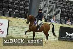 24BUCK_02267 thumbnail