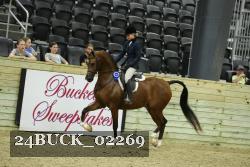 24BUCK_02269 thumbnail