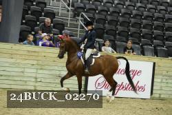24BUCK_02270 thumbnail