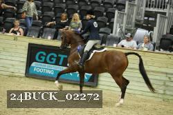 24BUCK_02272 thumbnail