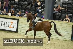 24BUCK_02275 thumbnail