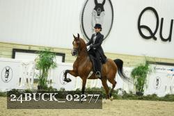 24BUCK_02277 thumbnail
