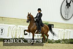 24BUCK_02278 thumbnail
