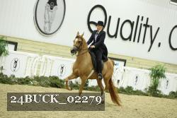 24BUCK_02279 thumbnail