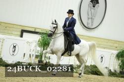 24BUCK_02281 thumbnail