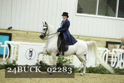 24BUCK_02283 thumbnail