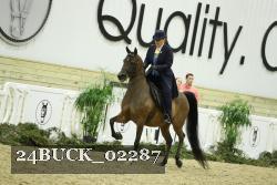24BUCK_02287 thumbnail