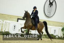 24BUCK_02288 thumbnail