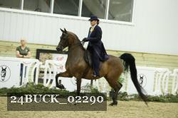24BUCK_02290 thumbnail