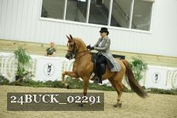 24BUCK_02291 thumbnail