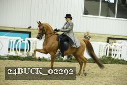 24BUCK_02292 thumbnail