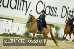 24BUCK_02295 thumbnail
