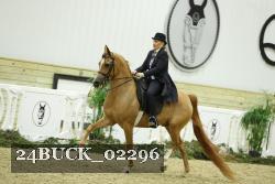 24BUCK_02296 thumbnail