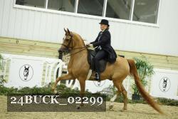 24BUCK_02299 thumbnail