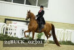 24BUCK_02301 thumbnail