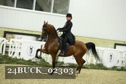 24BUCK_02303 thumbnail