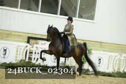 24BUCK_02304 thumbnail