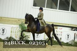24BUCK_02305 thumbnail