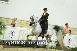 24BUCK_02306 thumbnail