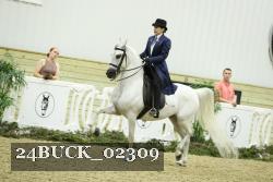 24BUCK_02309 thumbnail