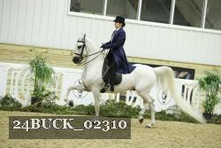 24BUCK_02310 thumbnail