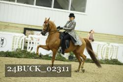 24BUCK_02311 thumbnail