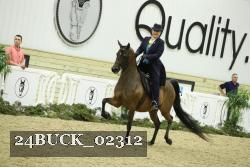 24BUCK_02312 thumbnail