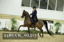 24BUCK_02313 thumbnail