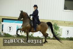24BUCK_02314 thumbnail
