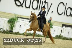 24BUCK_02316 thumbnail
