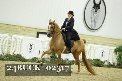 24BUCK_02317 thumbnail