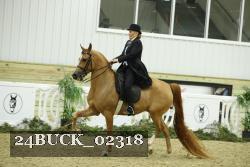 24BUCK_02318 thumbnail
