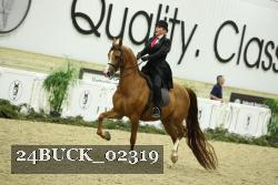 24BUCK_02319 thumbnail