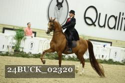 24BUCK_02320 thumbnail