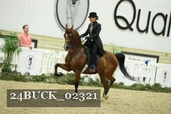 24BUCK_02321 thumbnail