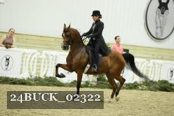 24BUCK_02322 thumbnail