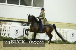 24BUCK_02324 thumbnail