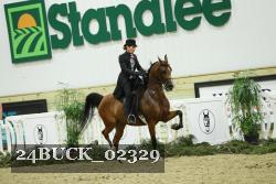 24BUCK_02329 thumbnail