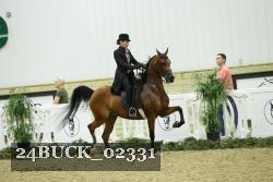 24BUCK_02331 thumbnail